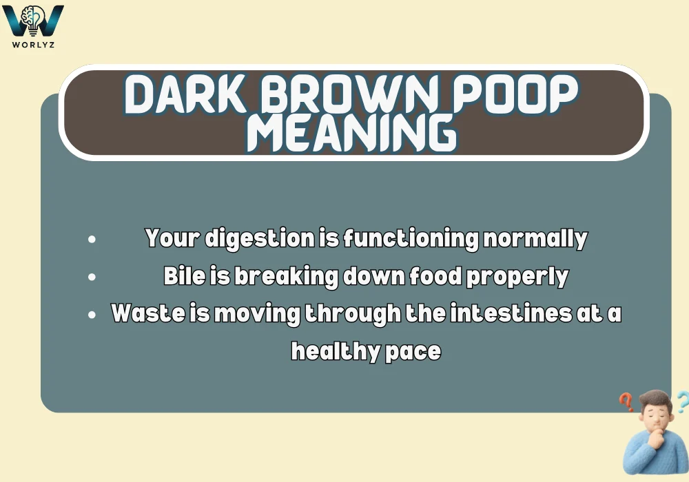 Dark Brown Poop Meaning