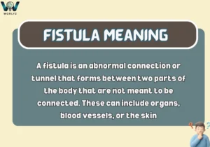 Fistula Meaning