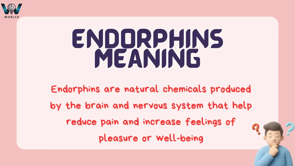 Endorphins Meaning