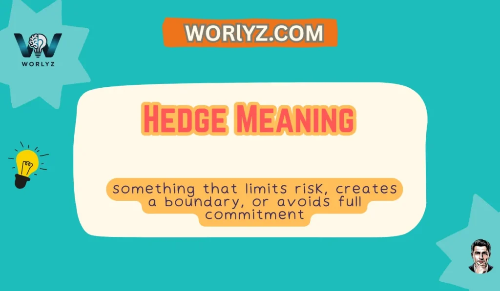 Hedge Meaning