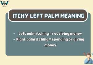 Itchy Left Palm Meaning