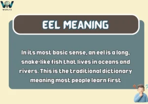 Eel Meaning