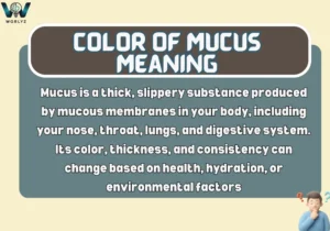 Color of Mucus Meaning