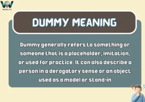 Dummy Meaning