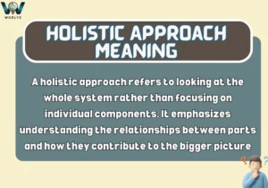 Holistic Approach Meaning