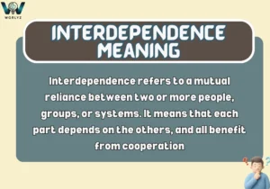 Interdependence Meaning