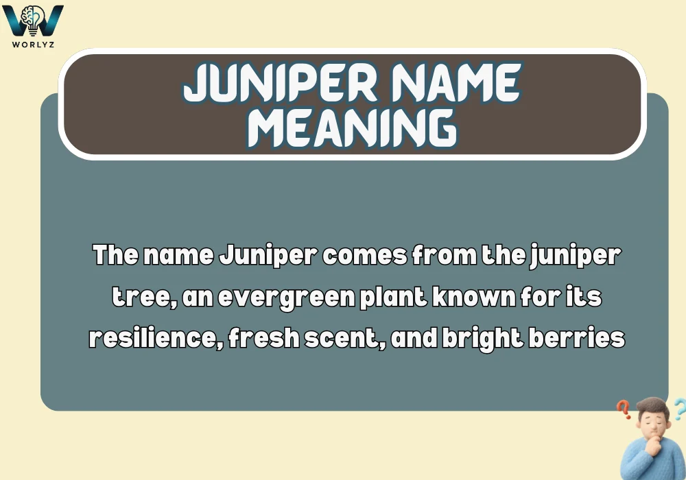 Juniper Name Meaning