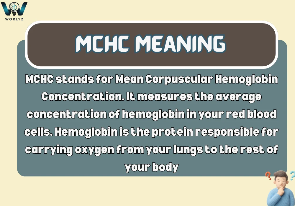 MCHC Meaning