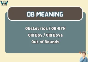 Ob Meaning