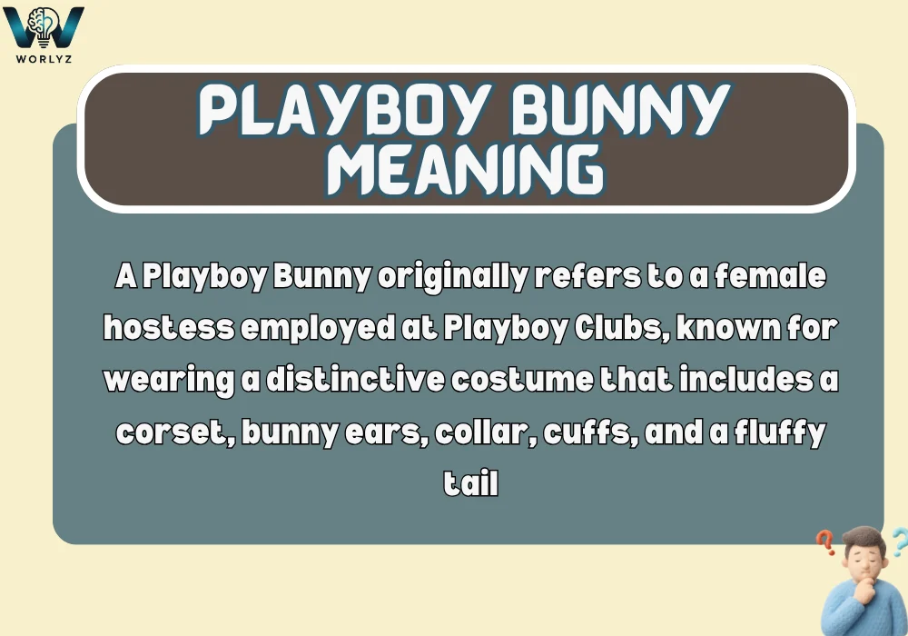 Playboy Bunny Meaning