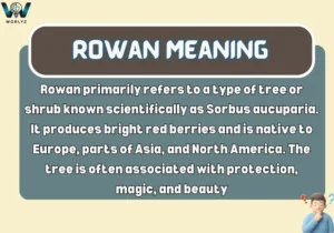 Rowan Meaning