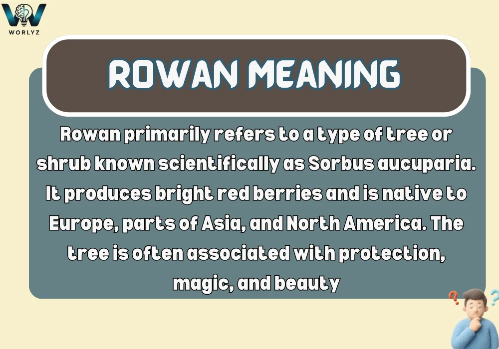 Rowan Meaning