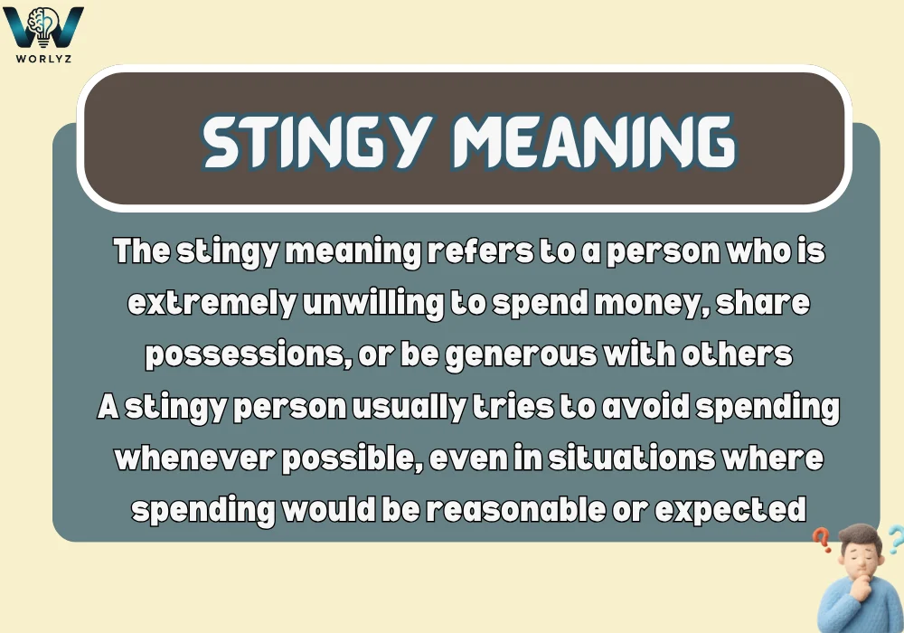 Stingy Meaning
