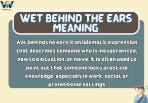 Wet Behind the Ears Meaning