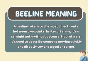 Beeline Meaning