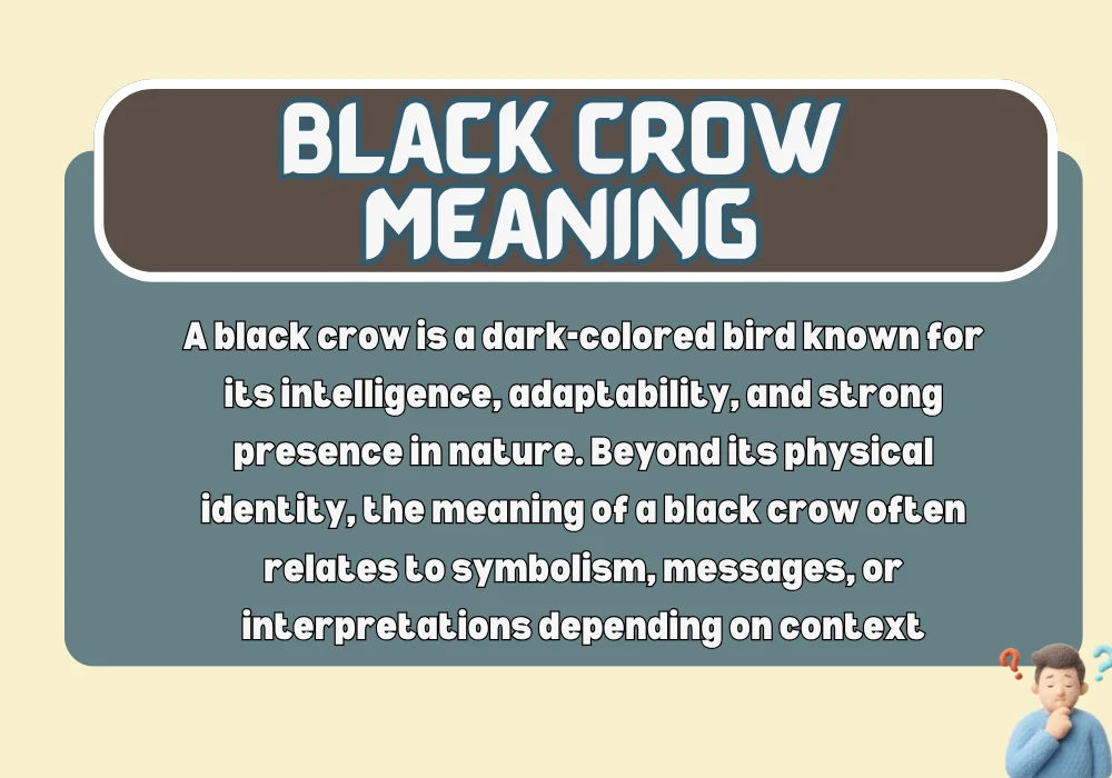 Black Crow Meaning