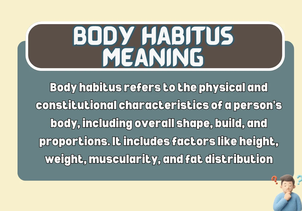Body Habitus Meaning