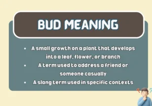 Bud Meaning