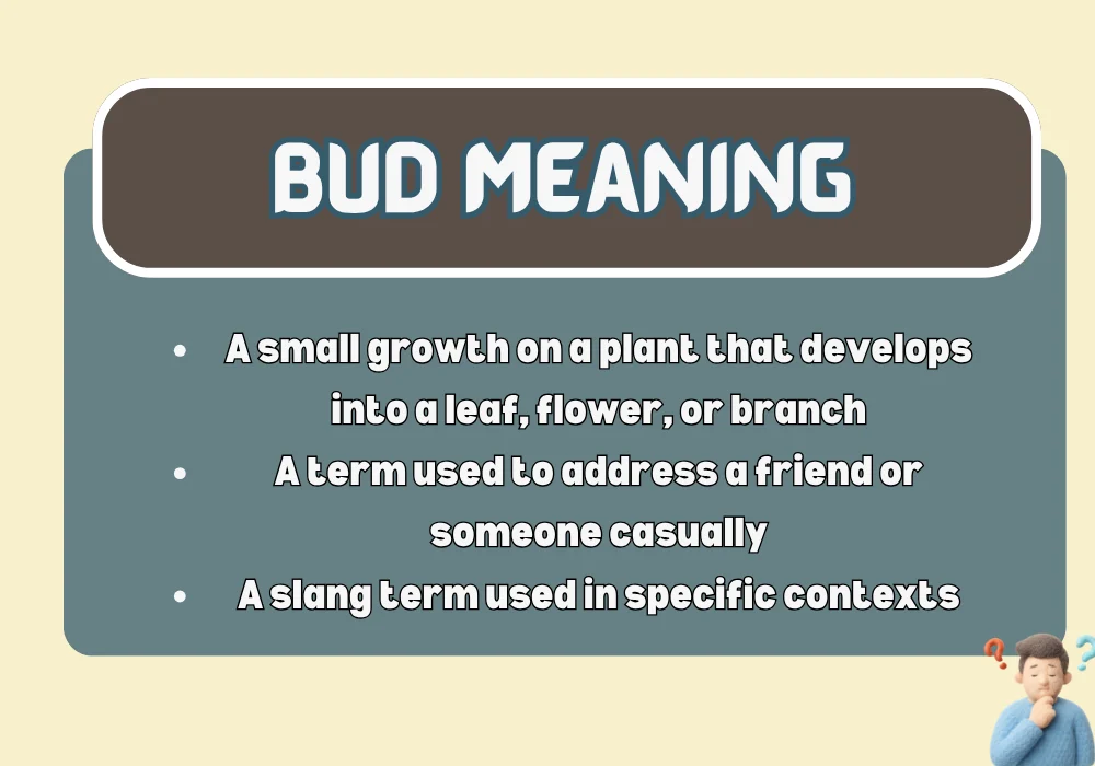 Bud Meaning