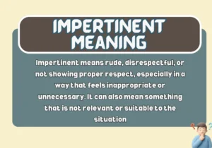 Impertinent Meaning