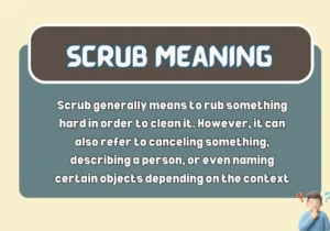 Scrub Meaning