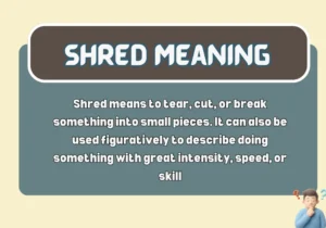 Shred Meaning