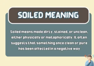 Soiled Meaning