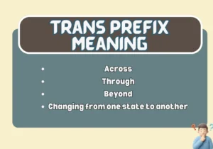 Trans Prefix Meaning