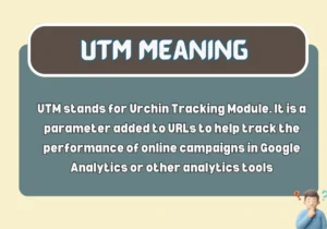 UTM Meaning