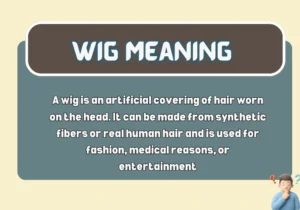 Wig Meaning