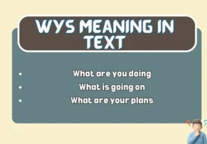 WYS Meaning in Text