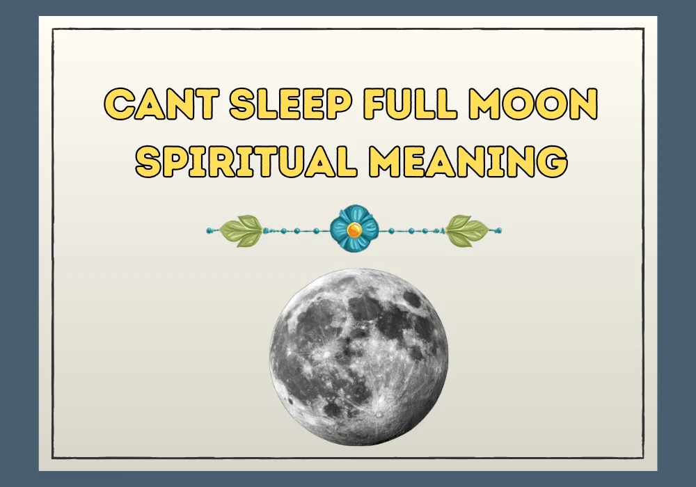 Cant Sleep Full Moon Spiritual Meaning