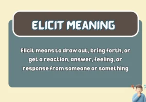 Elicit Meaning