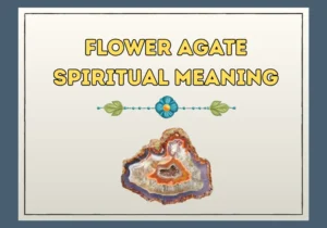 Flower Agate Spiritual Meaning