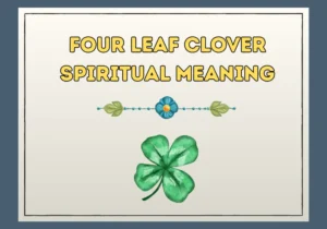 Four Leaf Clover Spiritual Meaning