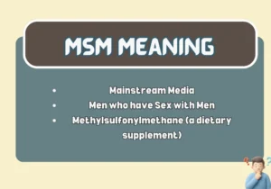 MSM Meaning