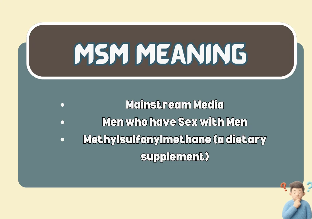 MSM Meaning