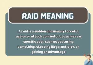 Raid Meaning