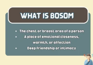 What Is Bosom