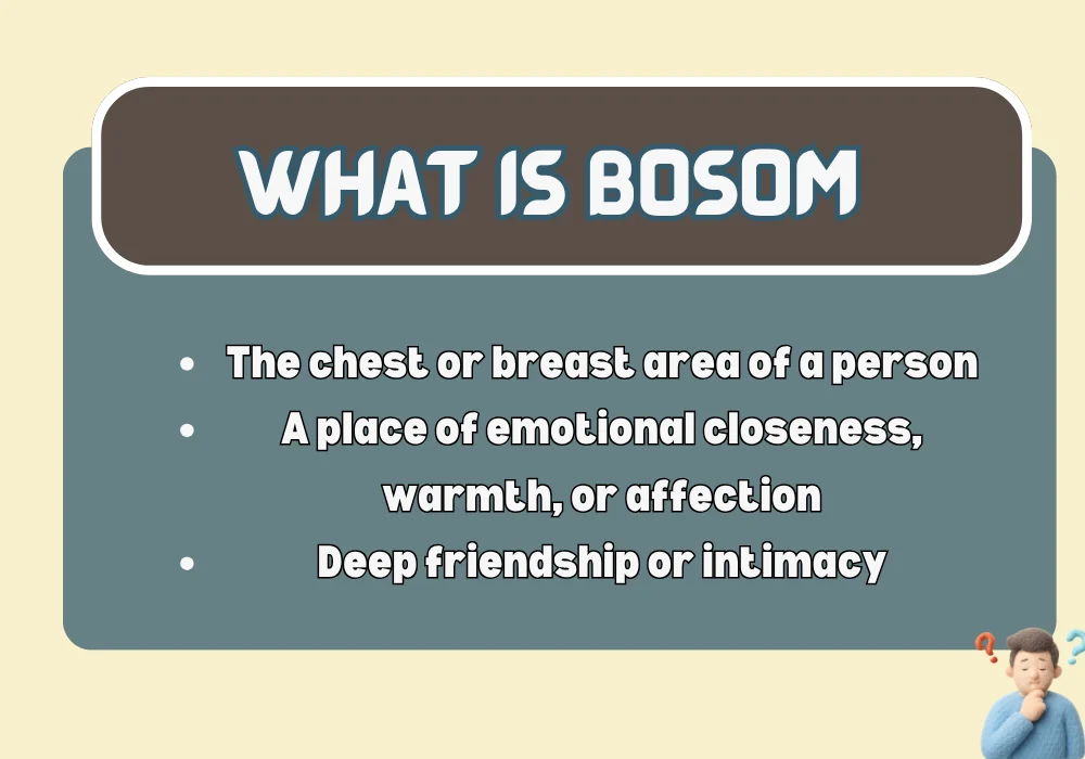 What Is Bosom