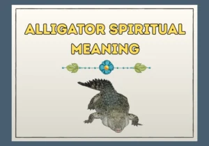 Alligator Spiritual Meaning