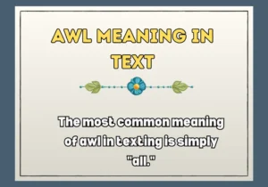 Awl Meaning In Text