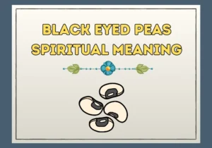 Black Eyed Peas Spiritual Meaning
