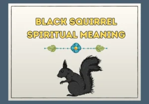 Black Squirrel Spiritual Meaning