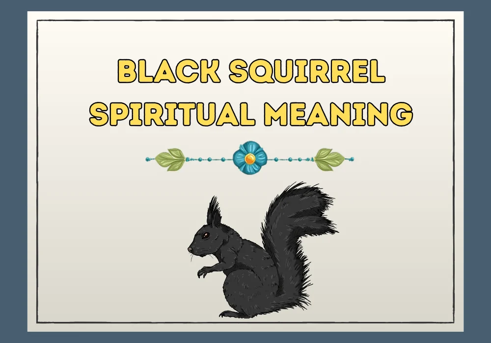 Black Squirrel Spiritual Meaning