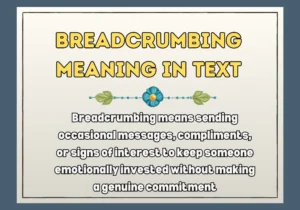 Breadcrumbing Meaning In Text