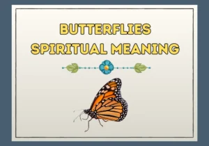 Butterflies Spiritual Meaning
