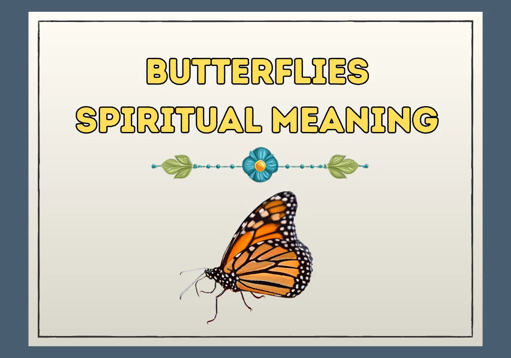 Butterflies Spiritual Meaning
