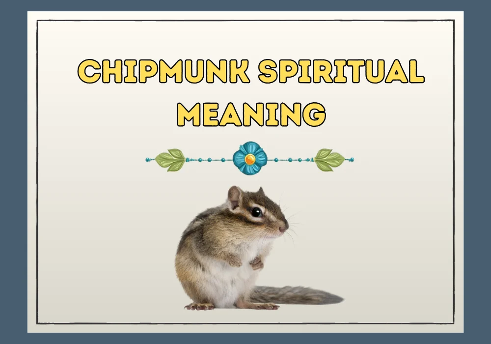 Chipmunk Spiritual Meaning