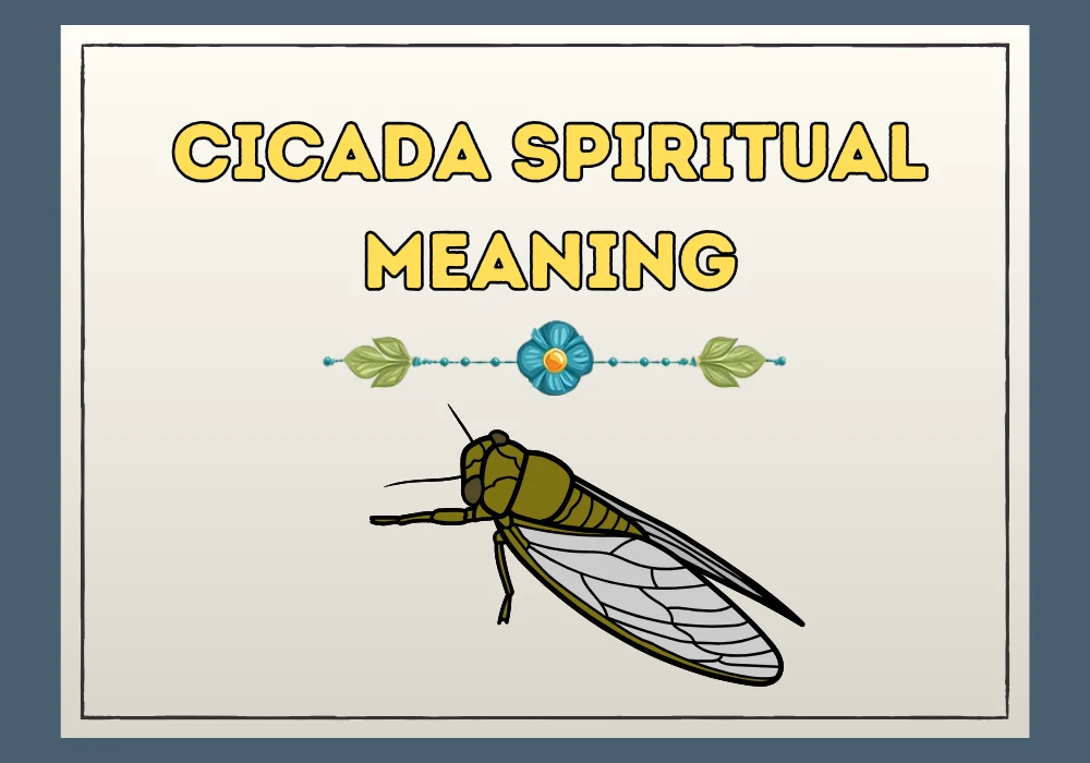 Cicada Spiritual Meaning